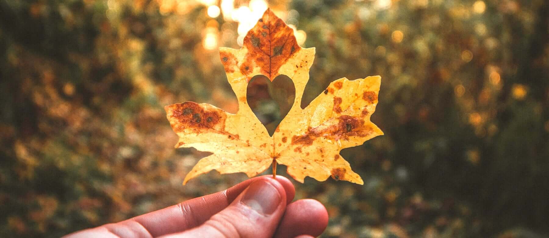 I was born to loving you baby baby?